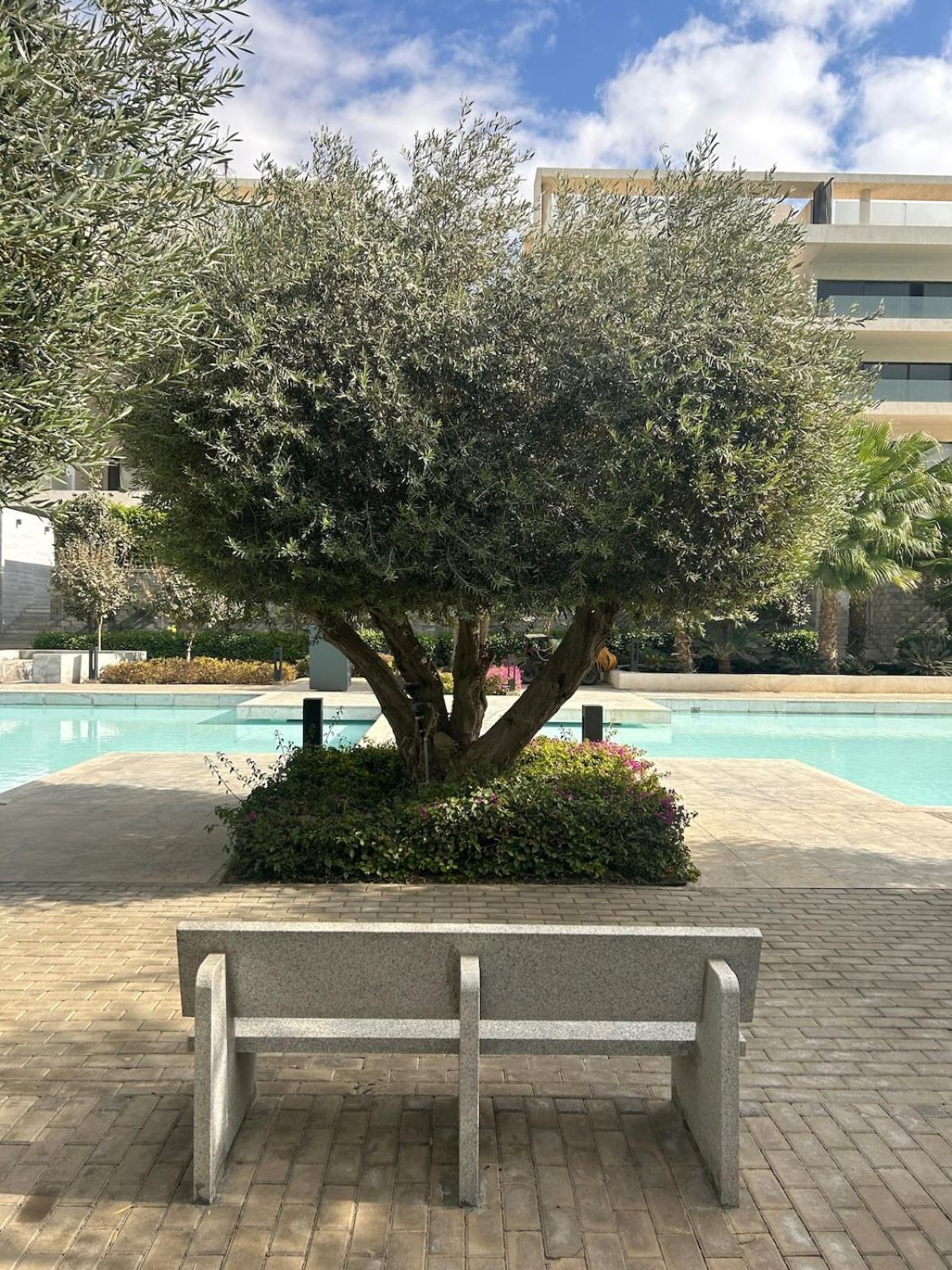 Appartement Zen Stunning Views 3br